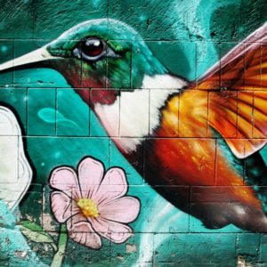 Street art hummingbird in Mexico